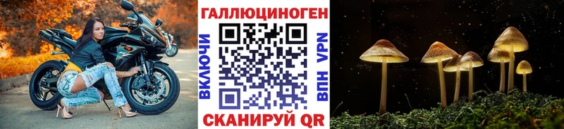 Псилоцибиновые грибы мицелий  Чекалин 
